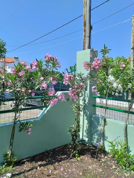 Lovely Guesthouse On The Beach Agia Anna  Luaran gambar